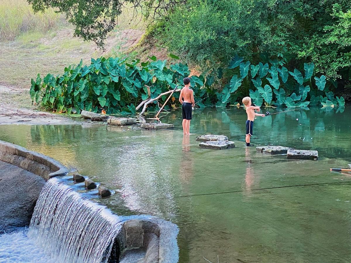 Son'S Rio Cibolo Birdhouse Cabin #11 Beautiful Creek Front Cabins And Cabanas! Villa Marion Bagian luar foto