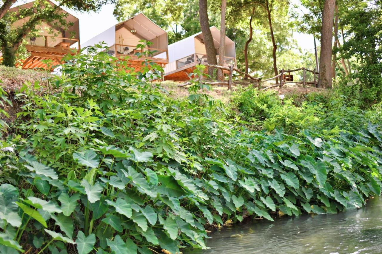 Son'S Rio Cibolo Birdhouse Cabin #11 Beautiful Creek Front Cabins And Cabanas! Villa Marion Bagian luar foto