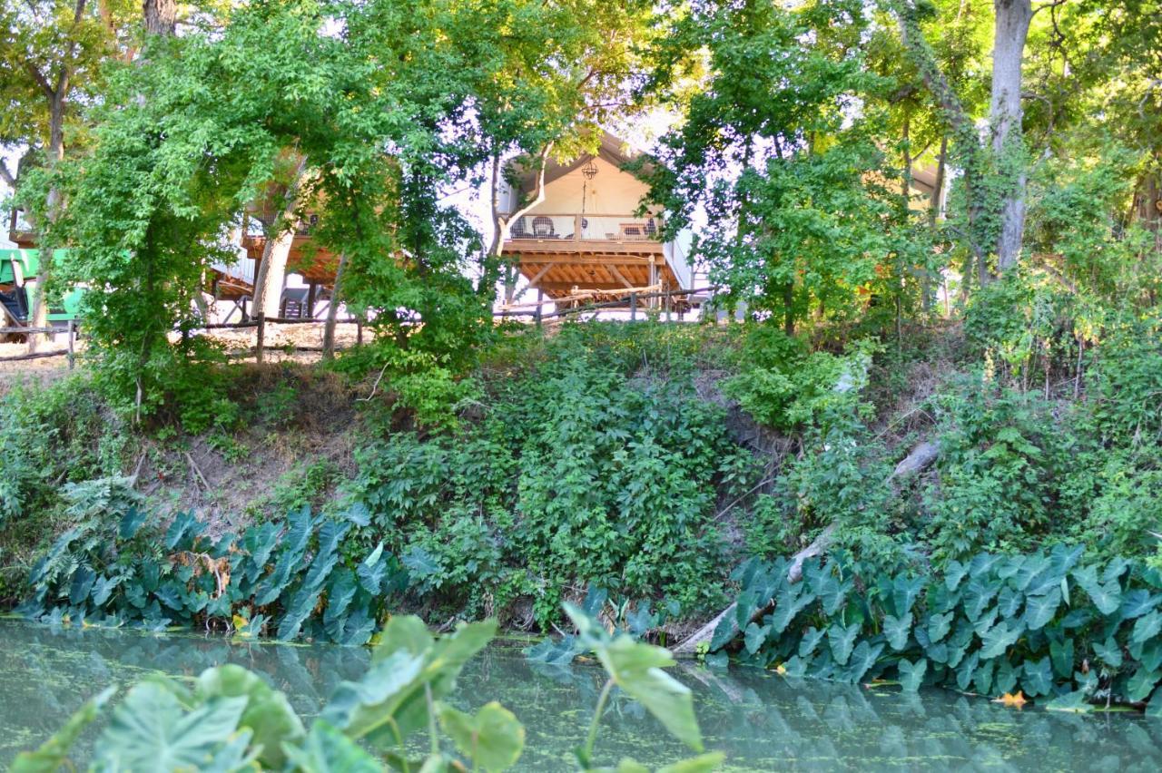 Son'S Rio Cibolo Birdhouse Cabin #11 Beautiful Creek Front Cabins And Cabanas! Villa Marion Bagian luar foto